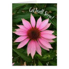 Helle Lila Sitzblende wird bald gut.