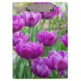 Helle Limettenwulst an einem sonnigen Tag Klemmbrett