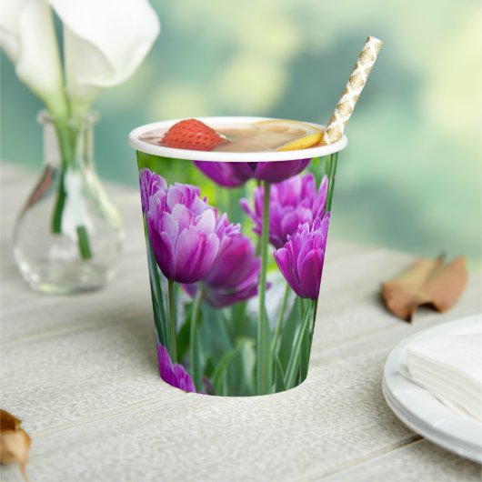 Helle Limettenwulst an einem sonnigen Tag Pappbecher (In Situ)