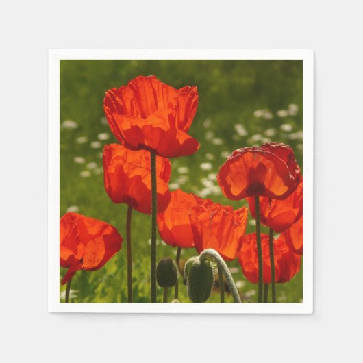 Helle Mohnblumen Serviette (Vorderseite)