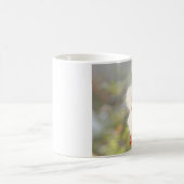 Helle Nussknabe Kaffeetasse (Mittel)