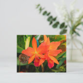 Helle Orange Orchid Postkarte (Stehend Vorderseite)