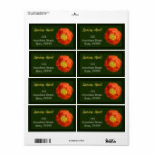 Helle Orange Poppy Blume (Vorne)