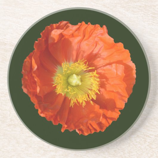 Helle Orange Poppy Blume Getränkeuntersetzer (Vorne)
