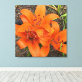Helle Orange Taglilie Foto Leinwand Art (Insitu (Holzboden))