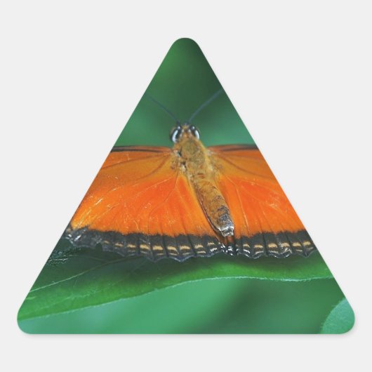 Helle Orange und schwarze Schmetterlinge auf der l Dreieckiger Aufkleber (Vorderseite)