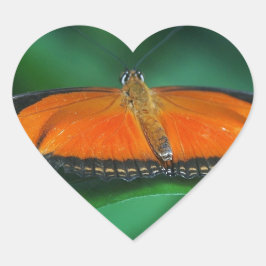 Helle Orange und schwarze Schmetterlinge auf der l Herz-Aufkleber