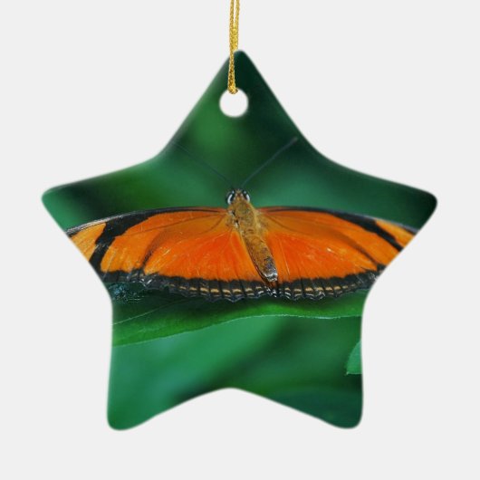 Helle Orange und schwarze Schmetterlinge auf der l Keramik Ornament (Vorne)