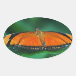 Helle Orange und schwarze Schmetterlinge auf der l Ovaler Aufkleber