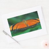 Helle Orange und schwarze Schmetterlinge auf der l Rechteckiger Aufkleber (Umschlag)