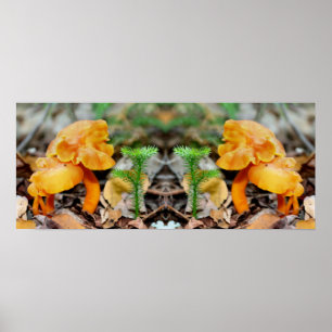 Helle Orange Wild Mushrooms Mirror Abstrakt Poster