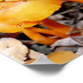 Helle Orange Wild Mushrooms Mirror Abstrakt Poster (Ecke)