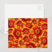 Helle orangefarbene Blumen Postkarte (Vorne/Hinten)