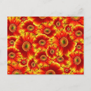 Helle orangefarbene Blumen Postkarte