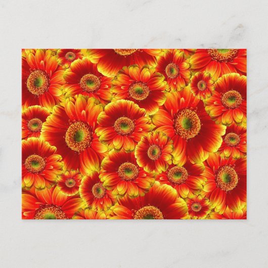 Helle orangefarbene Blumen Postkarte (Vorderseite)