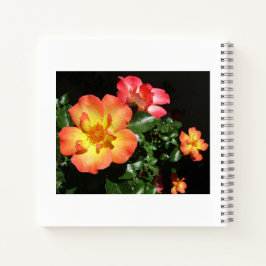 Helle orangefarbene Rosen - Spiralblock mit dunkle Notizblock