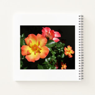 Helle orangefarbene Rosen - Spiralblock mit dunkle Notizblock