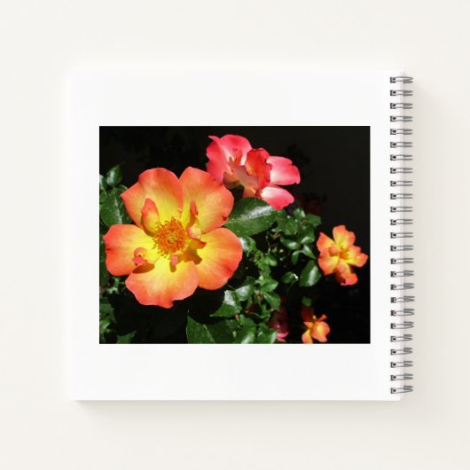 Helle orangefarbene Rosen - Spiralblock mit dunkle Notizblock (Rückseite)