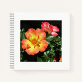 Helle orangefarbene Rosen - Spiralblock mit dunkle Notizblock (Vorderseite)