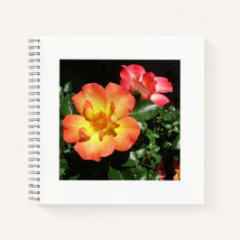 Helle orangefarbene Rosen - Spiralblock mit dunkle Notizblock