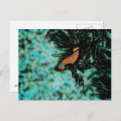 Helle Orangen und Blauer Betafisch Postkarte (Vorne/Hinten)