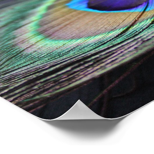 Helle Peacock Feather Foto Poster Kunstdruckerei (Ecke)