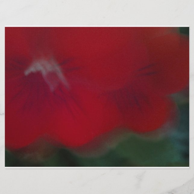 Helle Red Modern Blume Fotografie (Vorderseite)