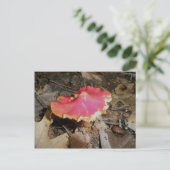 Helle Red Mushroom #1 Postkarte (Stehend Vorderseite)