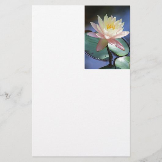 Helle Reflexion Briefpapier (Vorderseite)