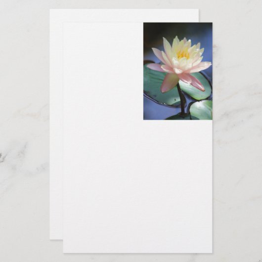 Helle Reflexion Briefpapier (Vorne/Hinten)