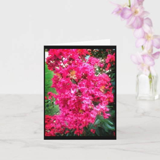 Helle rosa Blüten - Geburtstagswünsche Karte (Orchidee)