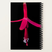 Helle rosa Fuchsienblüte auf schwarzem Hintergrund Notizblock (Rückseite)
