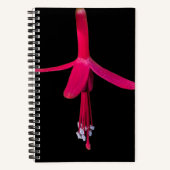 Helle rosa Fuchsienblüte auf schwarzem Hintergrund Notizblock (Vorderseite)