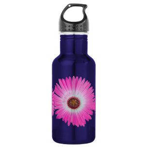 Helle rosa Gerber Gänseblümchen-Blume in der Trinkflasche