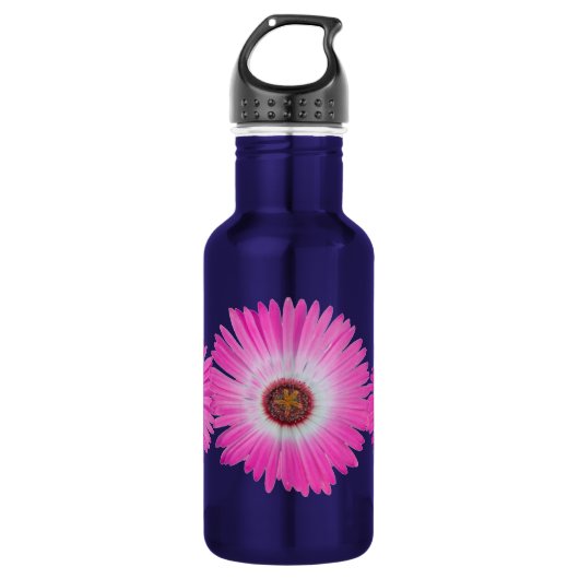 Helle rosa Gerber Gänseblümchen-Blume in der Trinkflasche (Vorderseite)