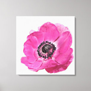Helle rosa Klatschmohn-Blumen-Blumendesign Weiß Leinwanddruck