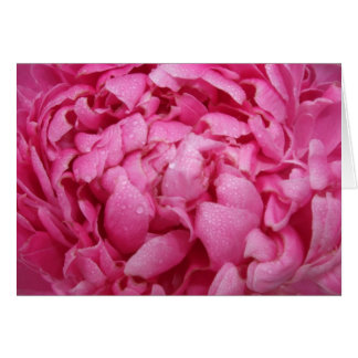 Helle rosa Pfingstrosen-Karte