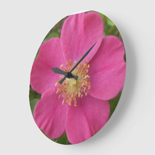 Helle rosa Rosa Wall Clock Große Wanduhr (Winkel)