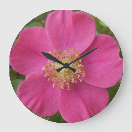 Helle rosa Rosa Wall Clock Große Wanduhr (Vorderseite)