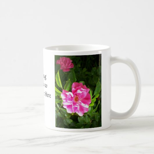 Helle rosa Rosen-Blumenphotographie Kaffeetasse (Rechts)