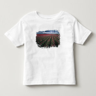 Helle rosa und rote Tulpen leuchten unter dunklen Kleinkind T-shirt