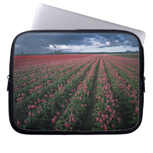 Helle rosa und rote Tulpen leuchten unter dunklen Laptopschutzhülle