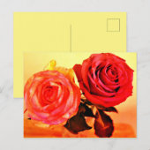 Helle Rose Einladungspostkarte (Vorne/Hinten)