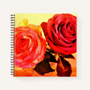 Helle Rose Notizblock