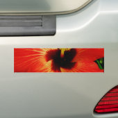 Helle Rot-Orange-Hibiskus-Blume Autoaufkleber (Auf Auto)