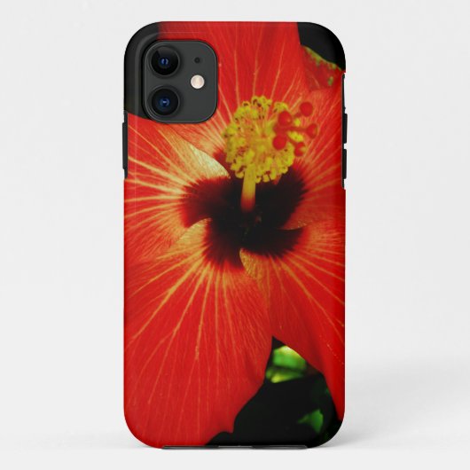 Helle Rot-Orange-Hibiskus-Blume Case-Mate iPhone Hülle (Rückseite)
