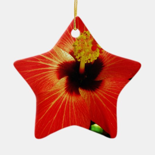 Helle Rot-Orange-Hibiskus-Blume Keramik Ornament (Vorne)