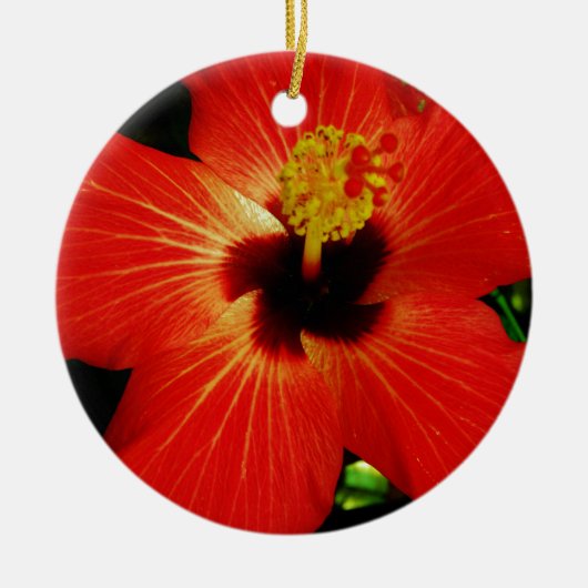 Helle Rot-Orange-Hibiskus-Blume Keramikornament (Vorne)