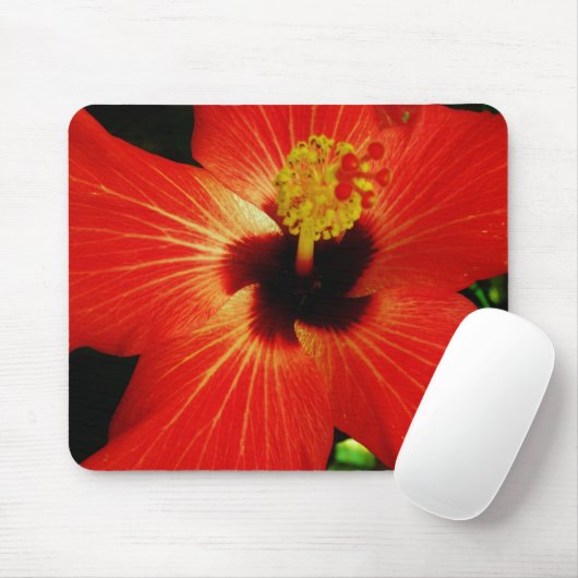 Helle Rot-Orange-Hibiskus-Blume Mousepad (Mit Mouse)