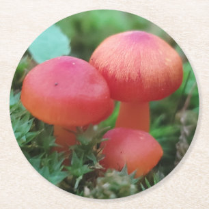 Helle Rot-Pilze im Waldboden Runder Pappuntersetzer